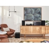 TT-S303 Platine vinyle